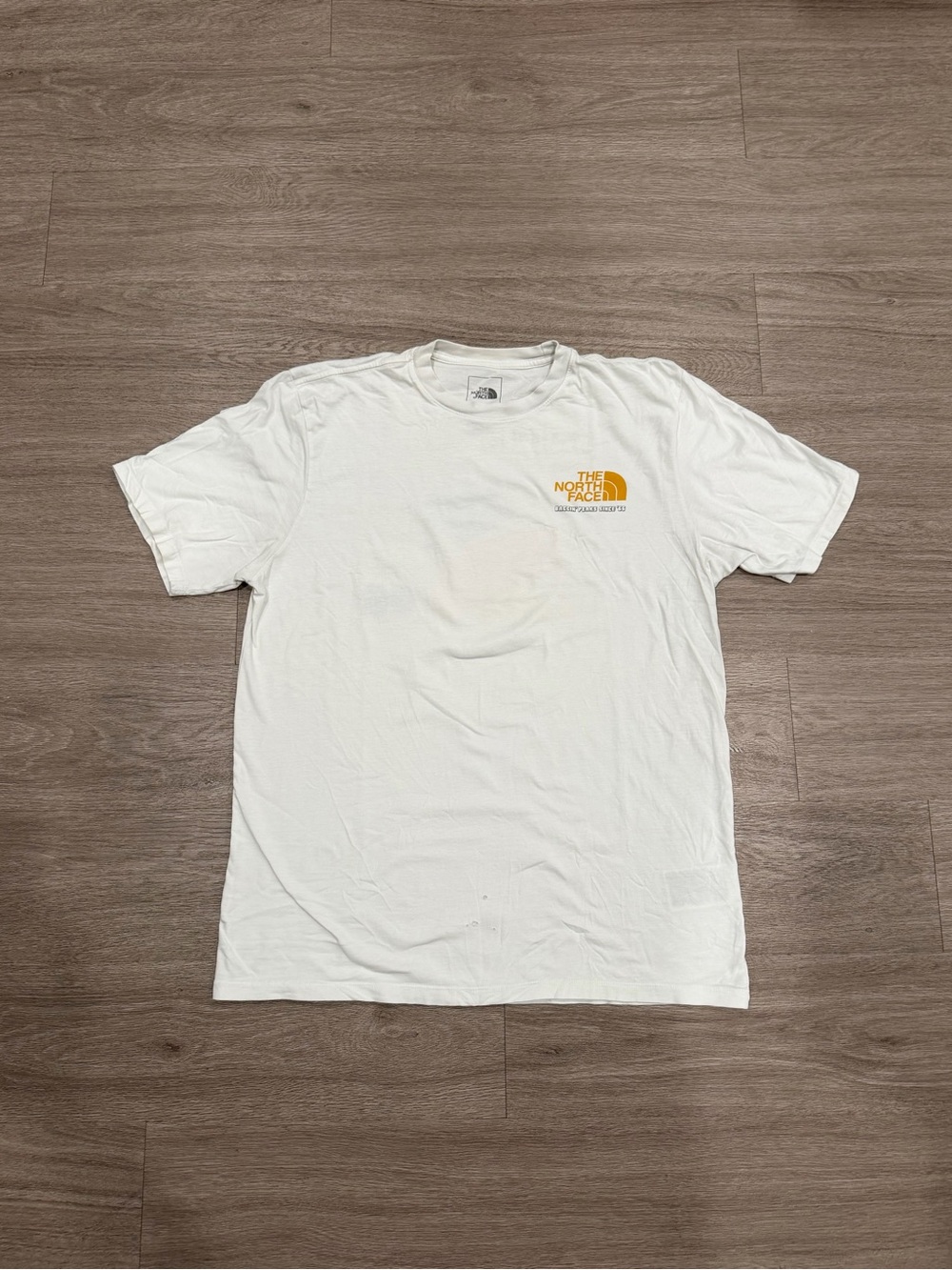 The North Face Men's Baggin Peaks Tee
